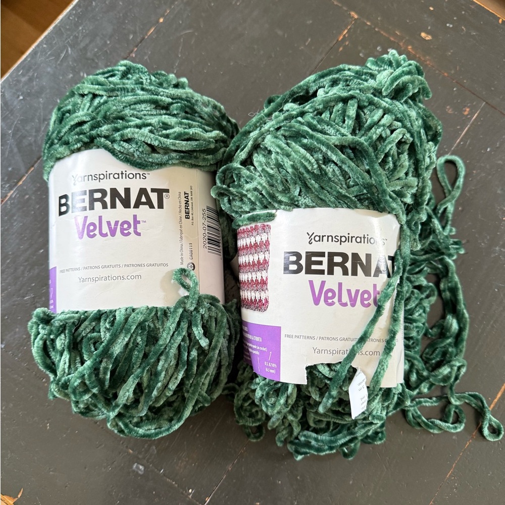 Bernat Velvet Yarn in Green